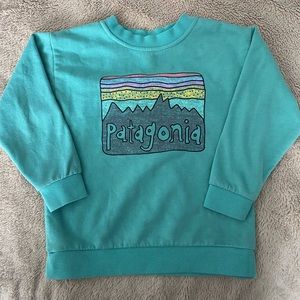 Patagonia crew neck sweater